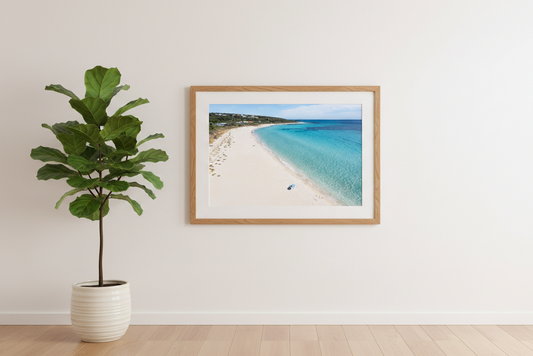 Framed beach print on a wall next to a potted plant