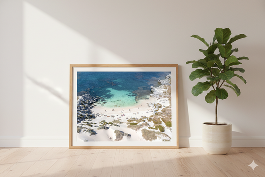 Framed artwork of a beach scene on a wall next to a potted plant.