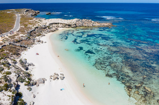 Salmon Bay