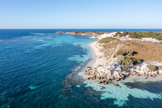 Salmon Bay