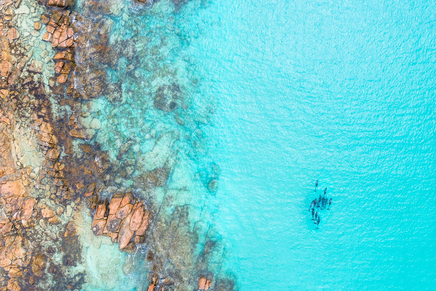 Aerial view of a person kayaking in clear blue water near rocky shores.