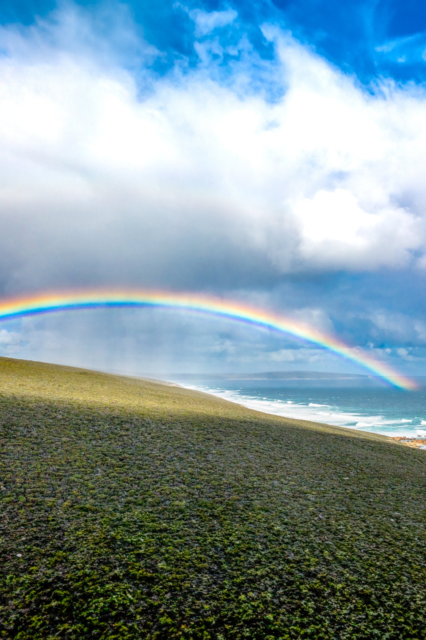 Rainbow over a grassy field with ocean and clouds in the background