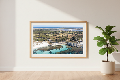 Framed artwork of a coastal landscape on a wall with a plant in the foreground.