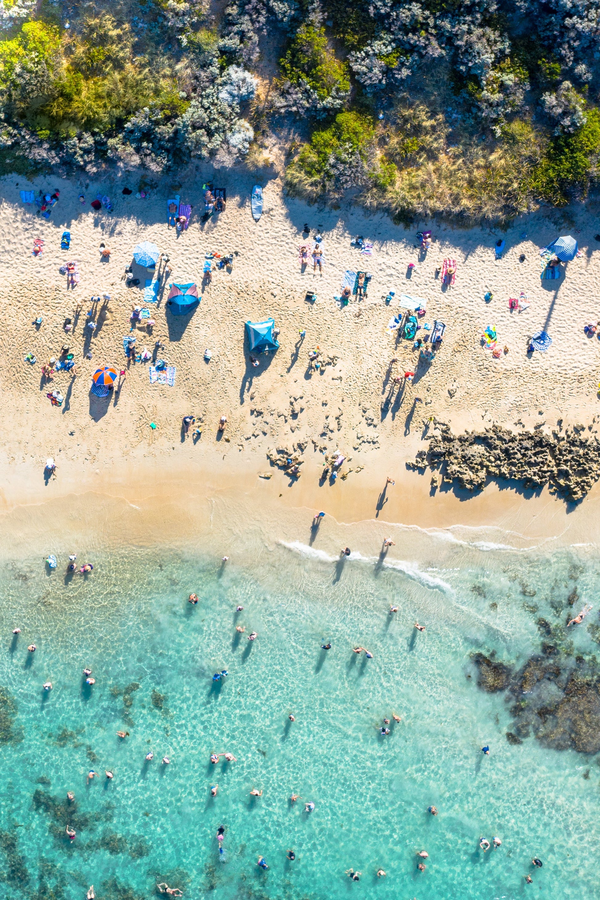 A split image showing two different views, one of a beach scene with people and umbrellas, and the other of a underwater scene with a school of fish.