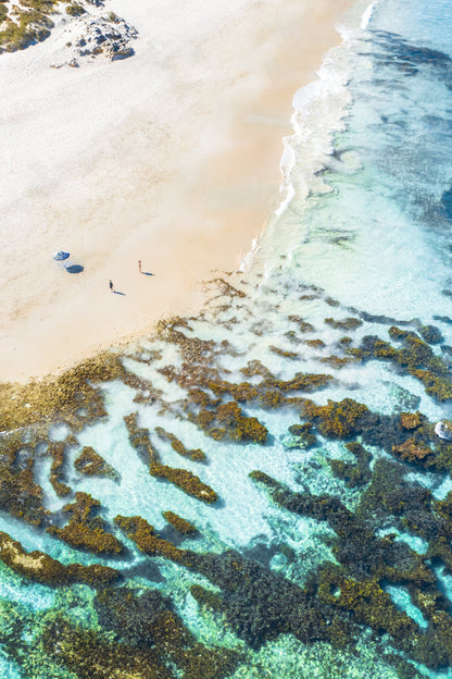 A vibrant underwater scene with a close-up view of colorful coral reefs and sea creatures, presumably part of the product's visual content.